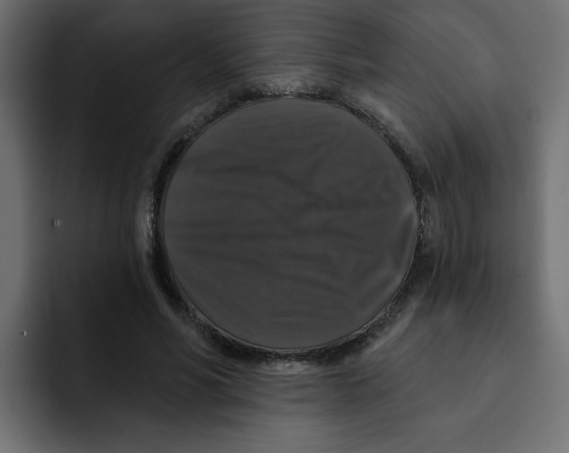 X0000092010590200710041027
