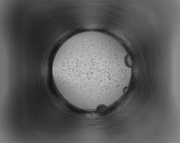 X0000092010591200710041027