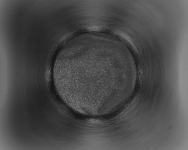 X0000092010596200710041027