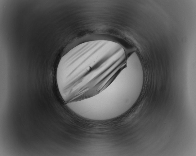 X0000092010597200710041027