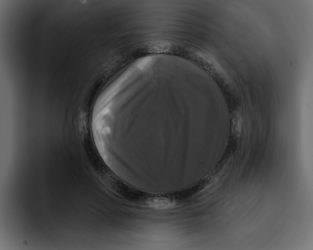X0000092010598200710041027