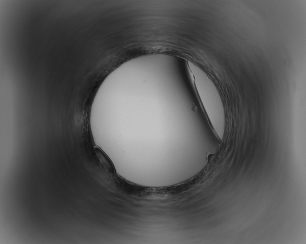 X0000092010601200710041027