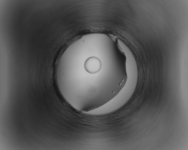 X0000092010604200710041027