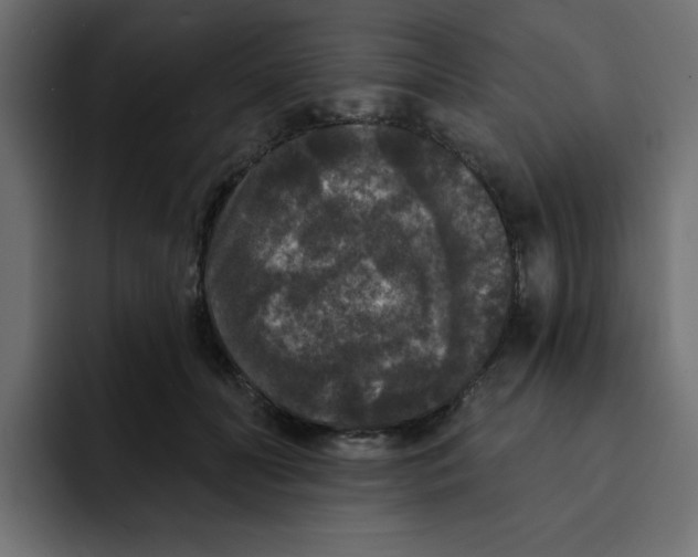 X0000092010606200710041027