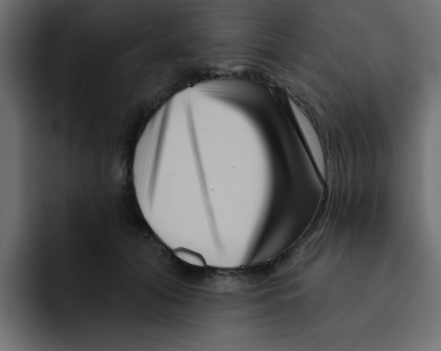 X0000092010608200710041027