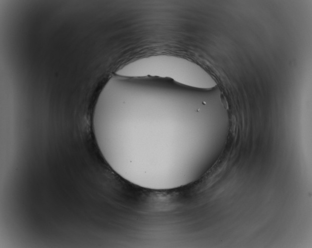 X0000092010613200710041027