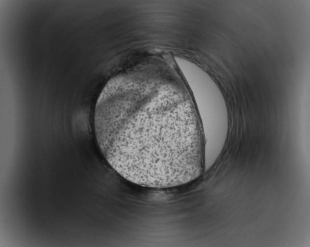 X0000092010616200710041027