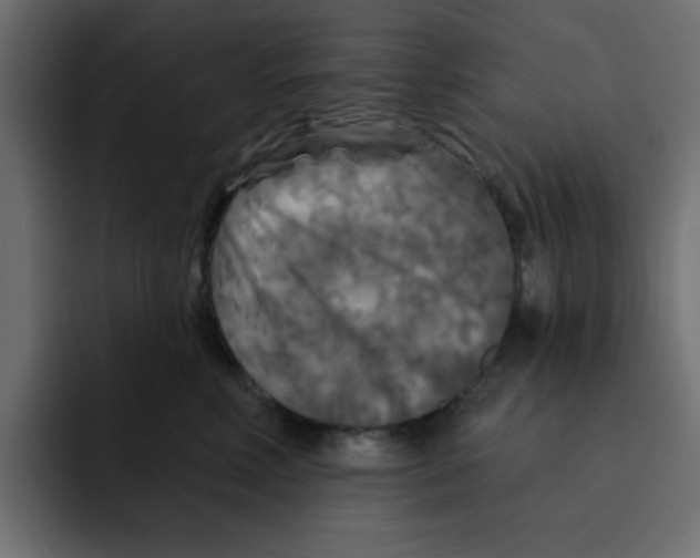X0000092010618200710041027