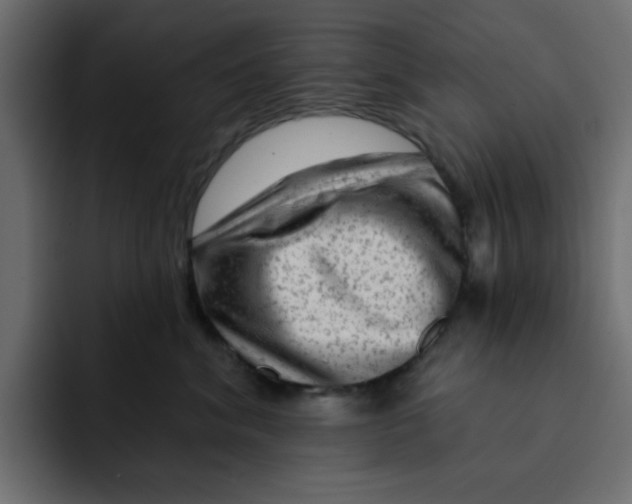 X0000092010620200710041027
