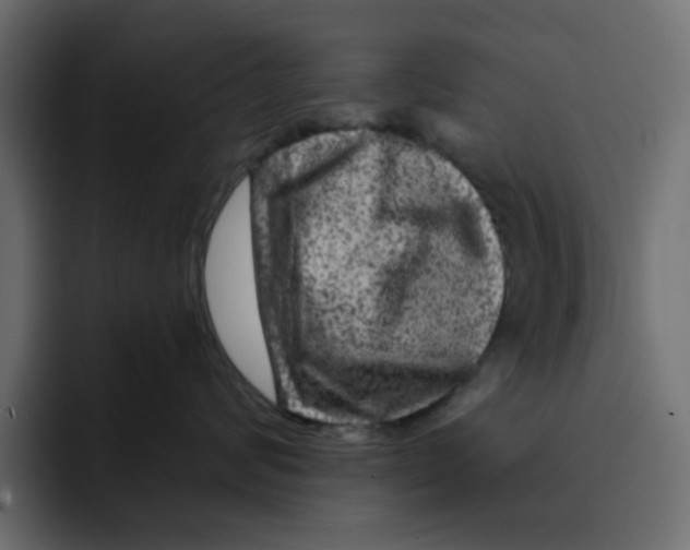 X0000092010624200710041027