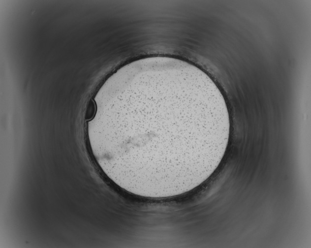 X0000092010625200710041026
