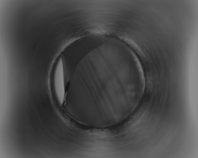 X0000092010626200710041026