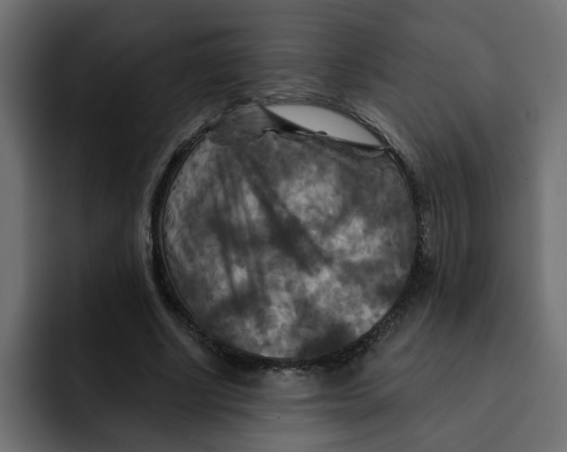X0000092010634200710041026