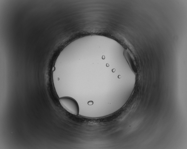 X0000092010635200710041026