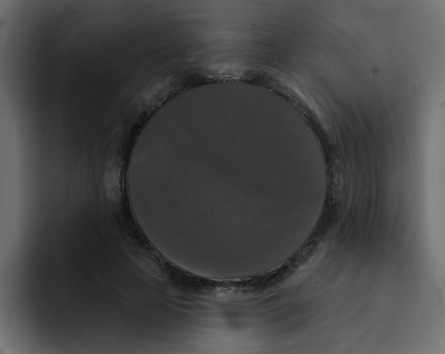 X0000092010641200710041026