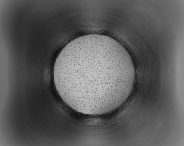 X0000092010642200710041026
