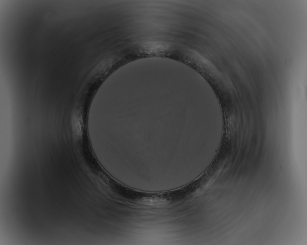 X0000092010644200710041026