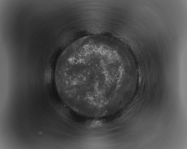X0000092010647200710041026