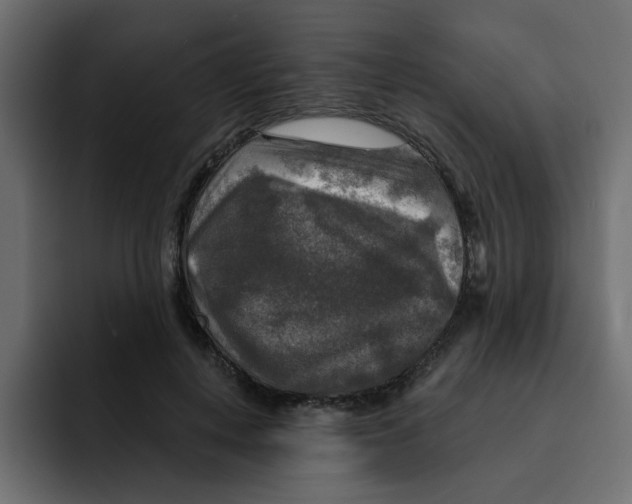 X0000092010648200710041026