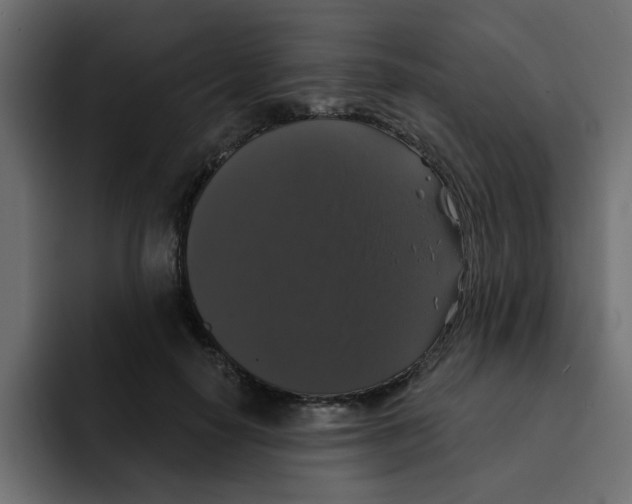 X0000092010650200710041026