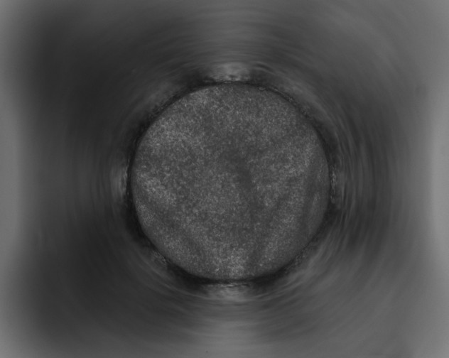 X0000092010652200710041026