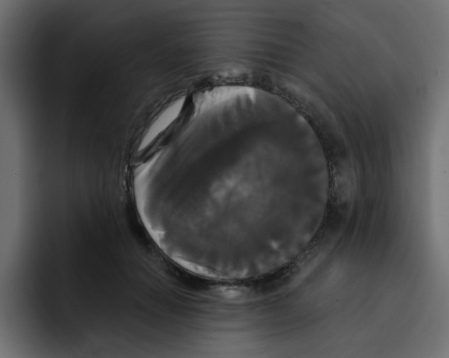X0000092010654200710041026