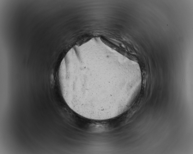 X0000092010655200710041026