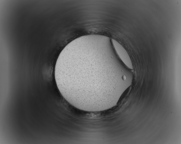 X0000092010660200710041026