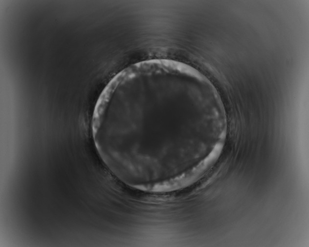 X0000092010661200710041026