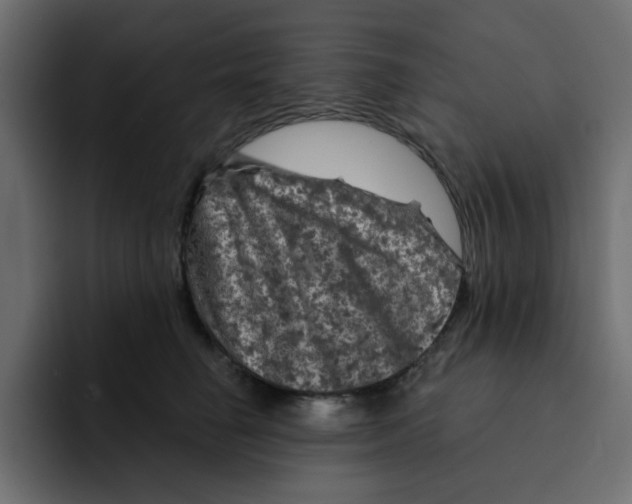 X0000092010662200710041026