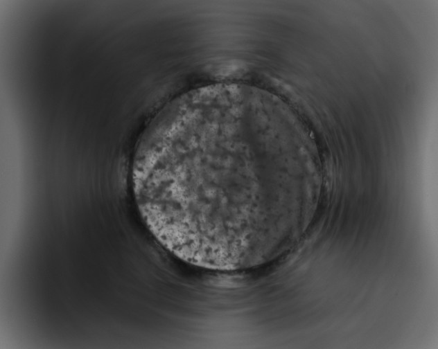 X0000092010664200710041026