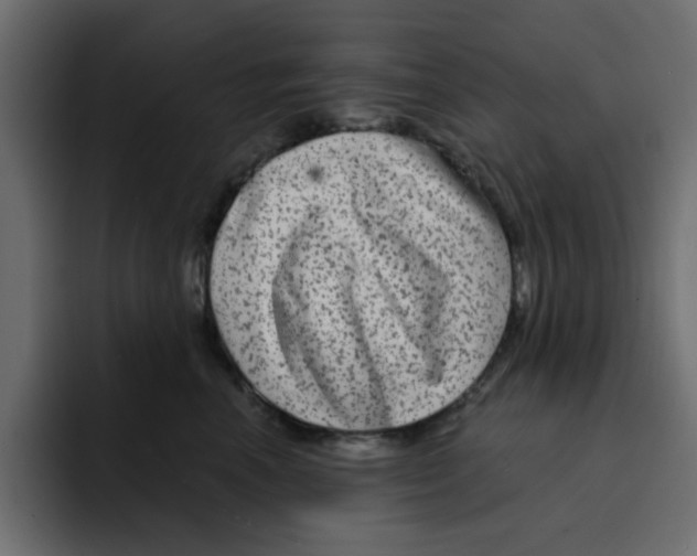 X0000092010666200710041026