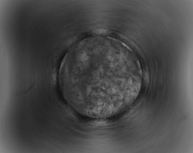 X0000092010668200710041026
