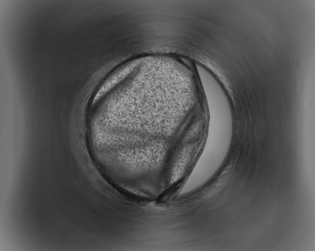 X0000092010673200710041026