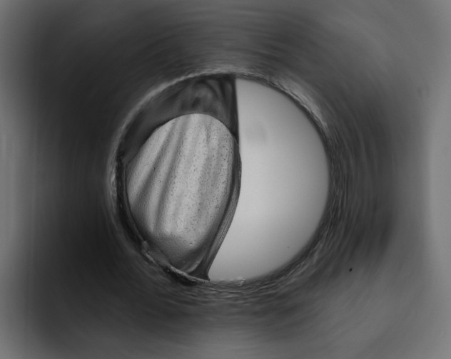 X0000092010676200710041026