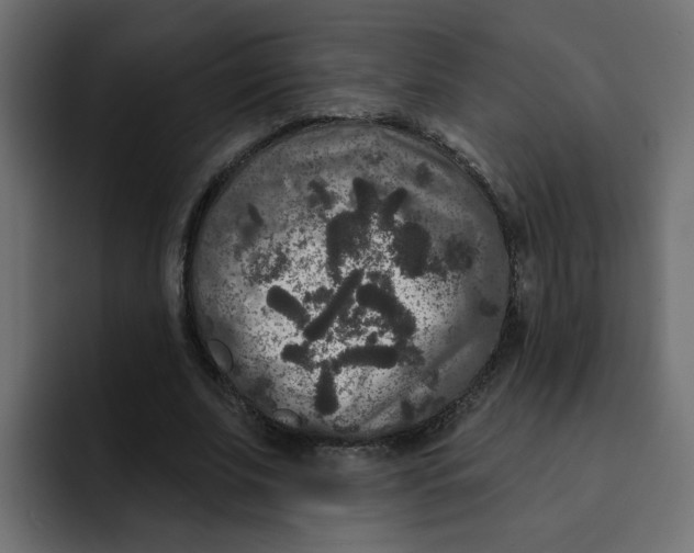 X0000092010679200710041026