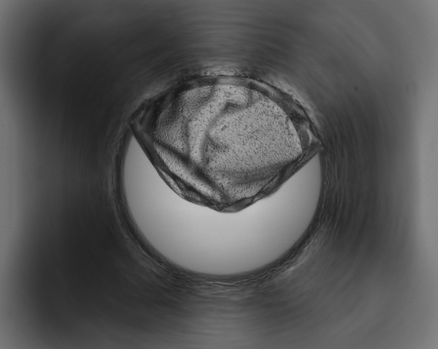 X0000092010681200710041026