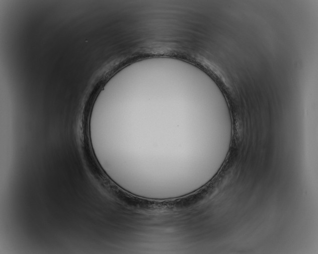 X0000092010682200710041026
