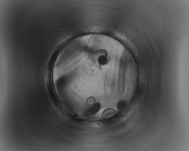 X0000092010683200710041026