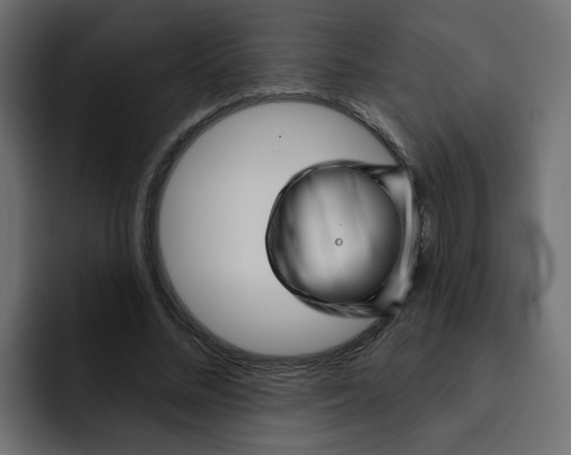X0000092010684200710041026