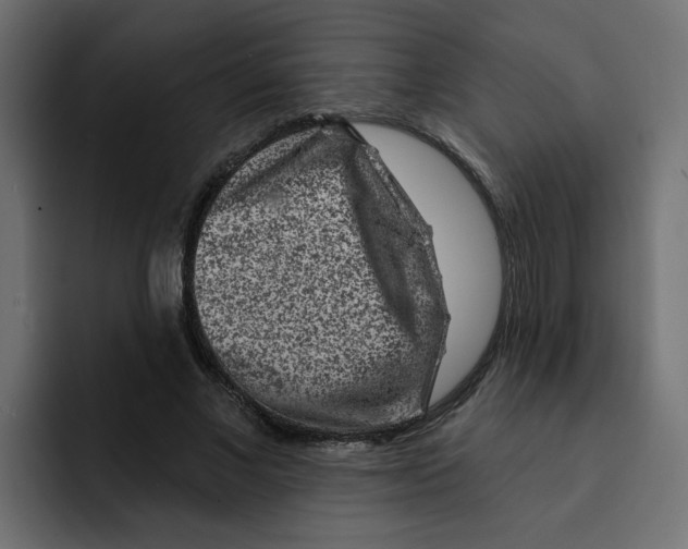 X0000092010685200710041026