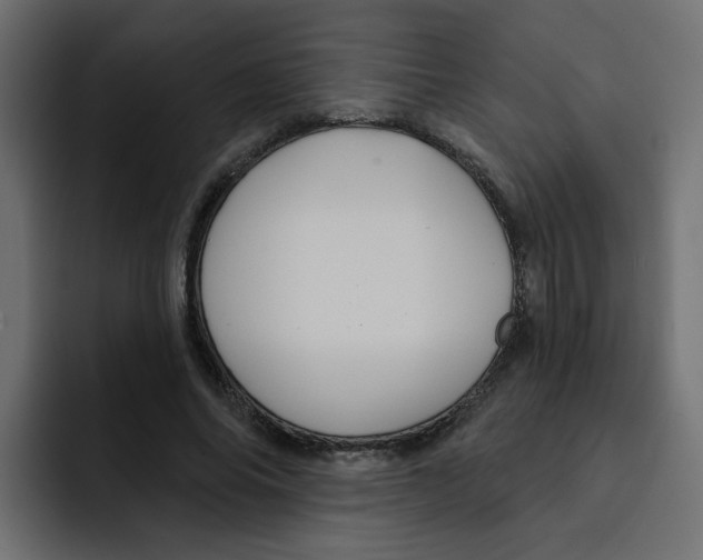 X0000092010686200710041026