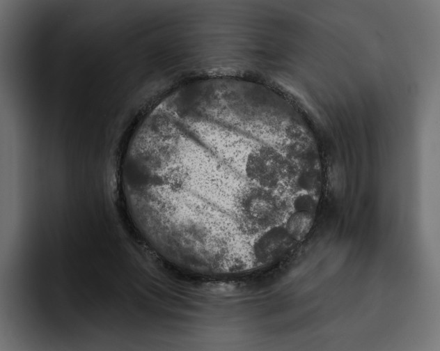 X0000092010687200710041026