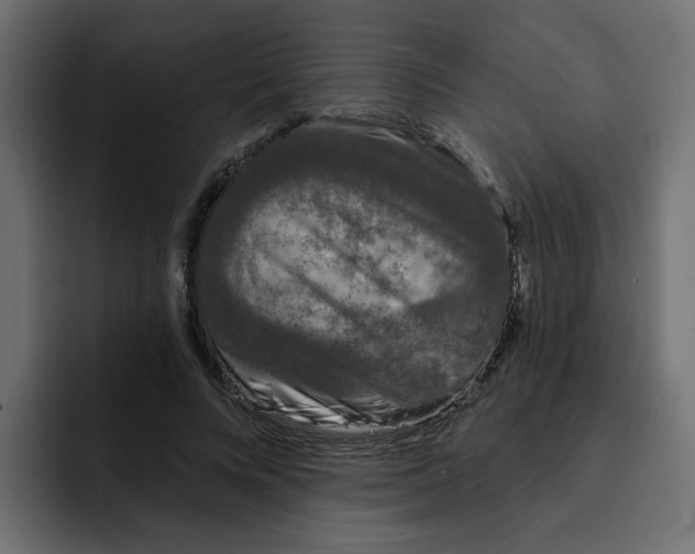 X0000092010688200710041026