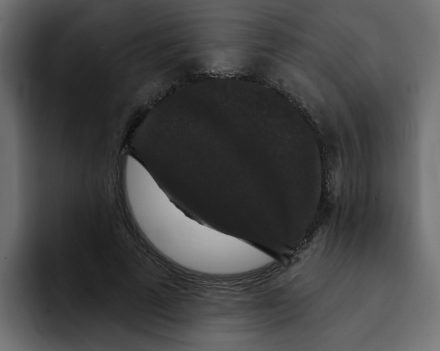 X0000092010689200710041026