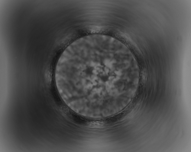 X0000092010691200710041026