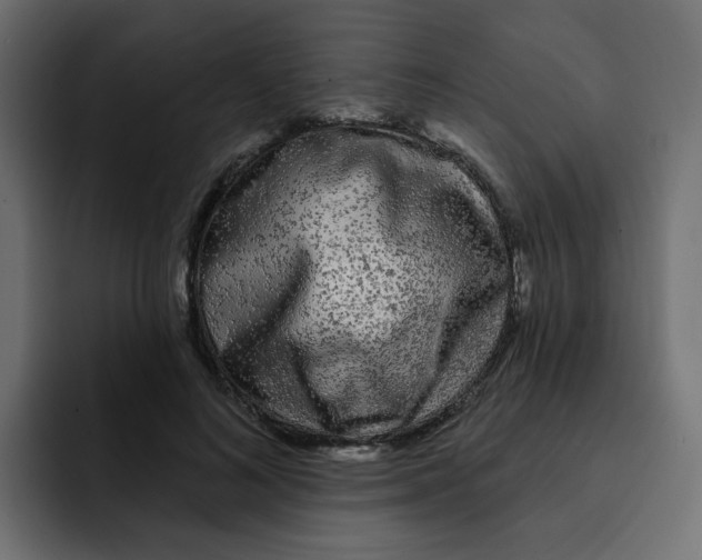 X0000092010692200710041026