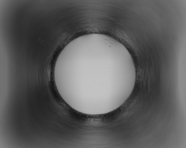 X0000092010694200710041026