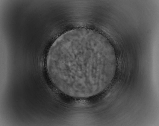 X0000092010695200710041026