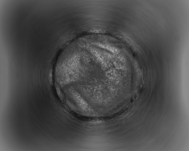 X0000092010696200710041026